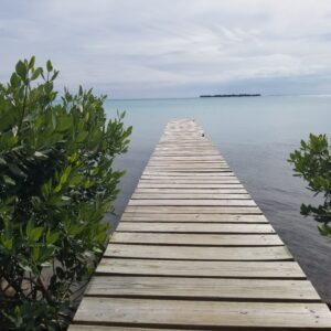 A dock with trees and water in the background