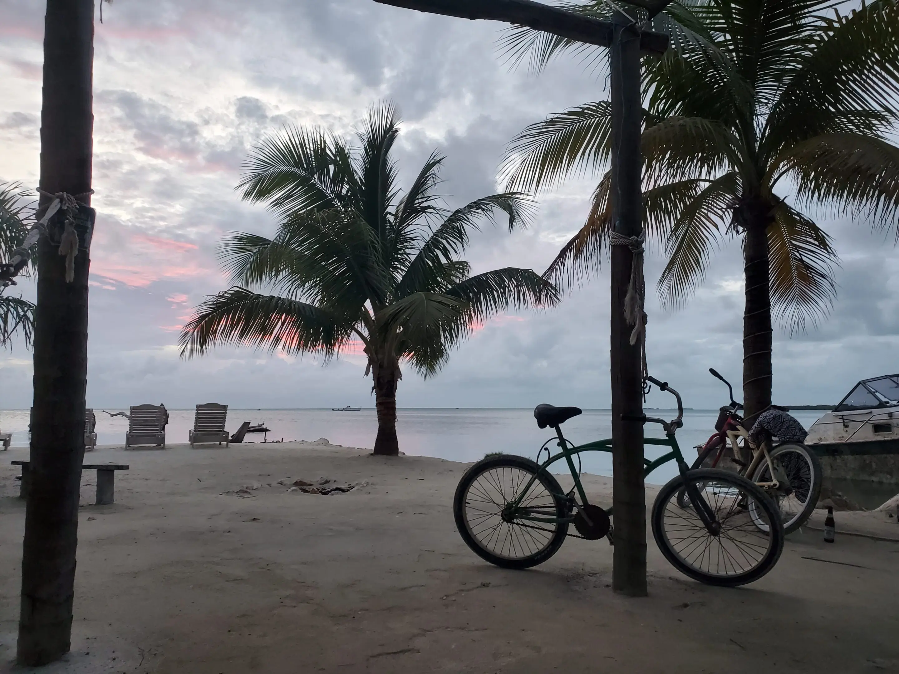 A bicycle parked on the beach near palm trees.