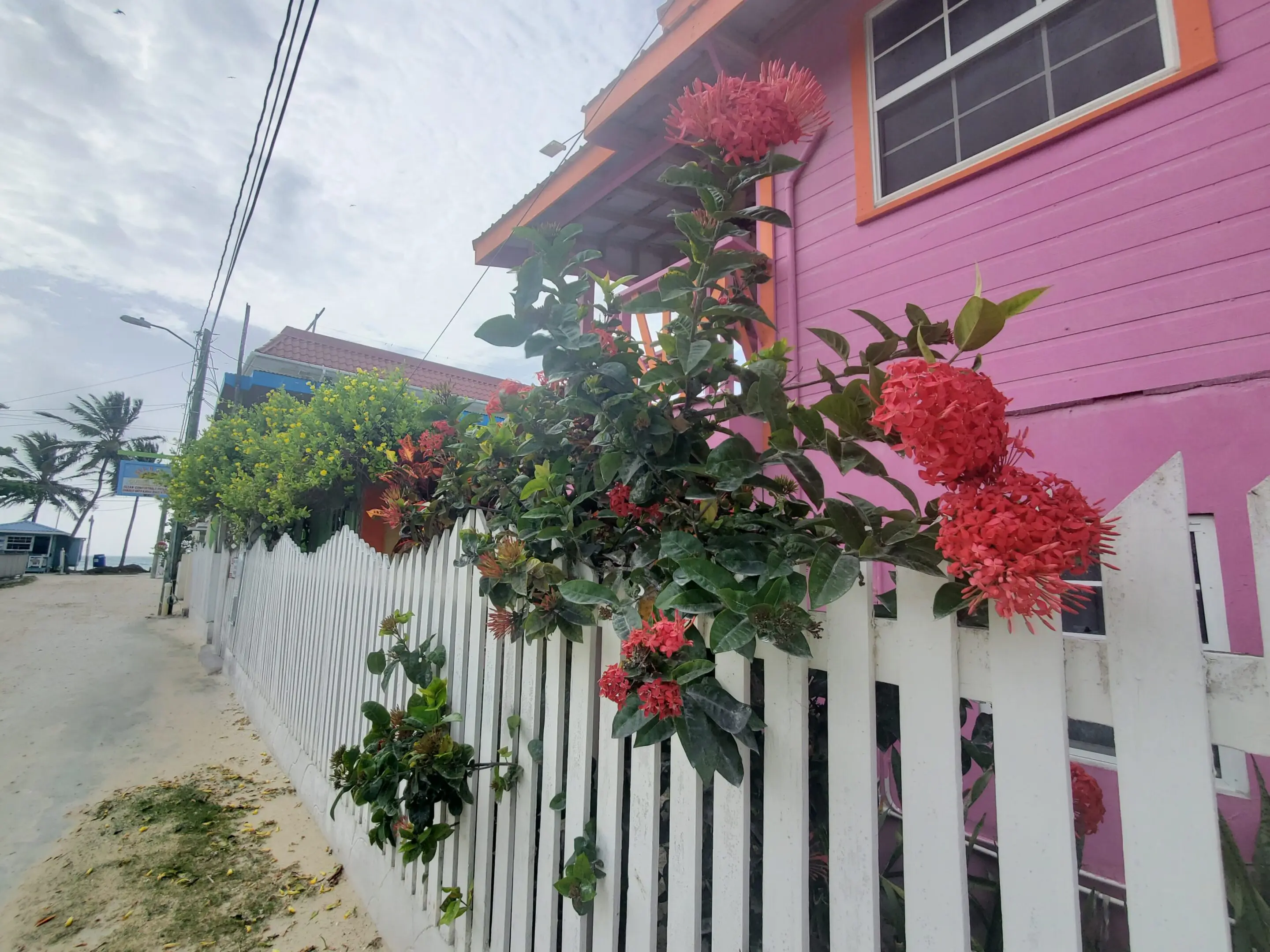 A pink house with flowers growing on the side of it.