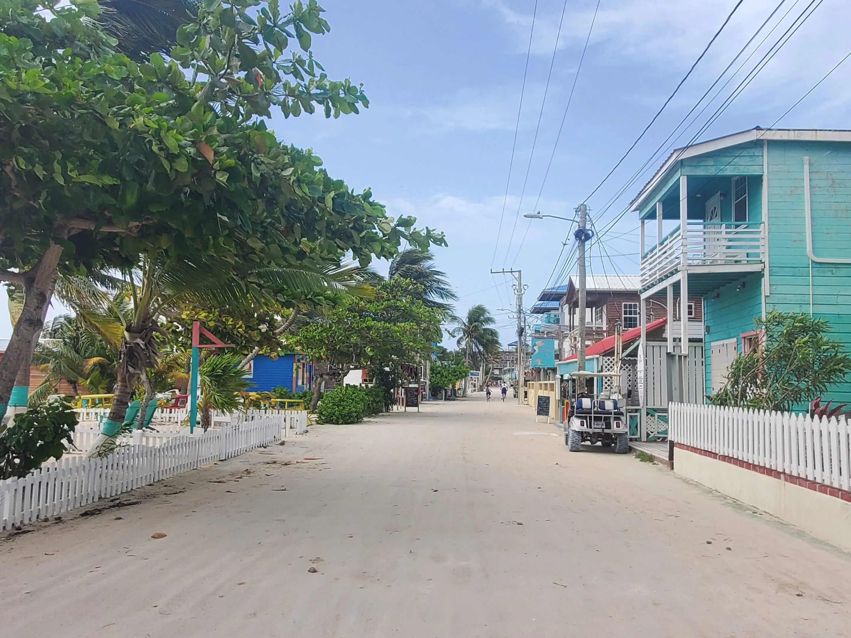 A street with many buildings and trees on the side.