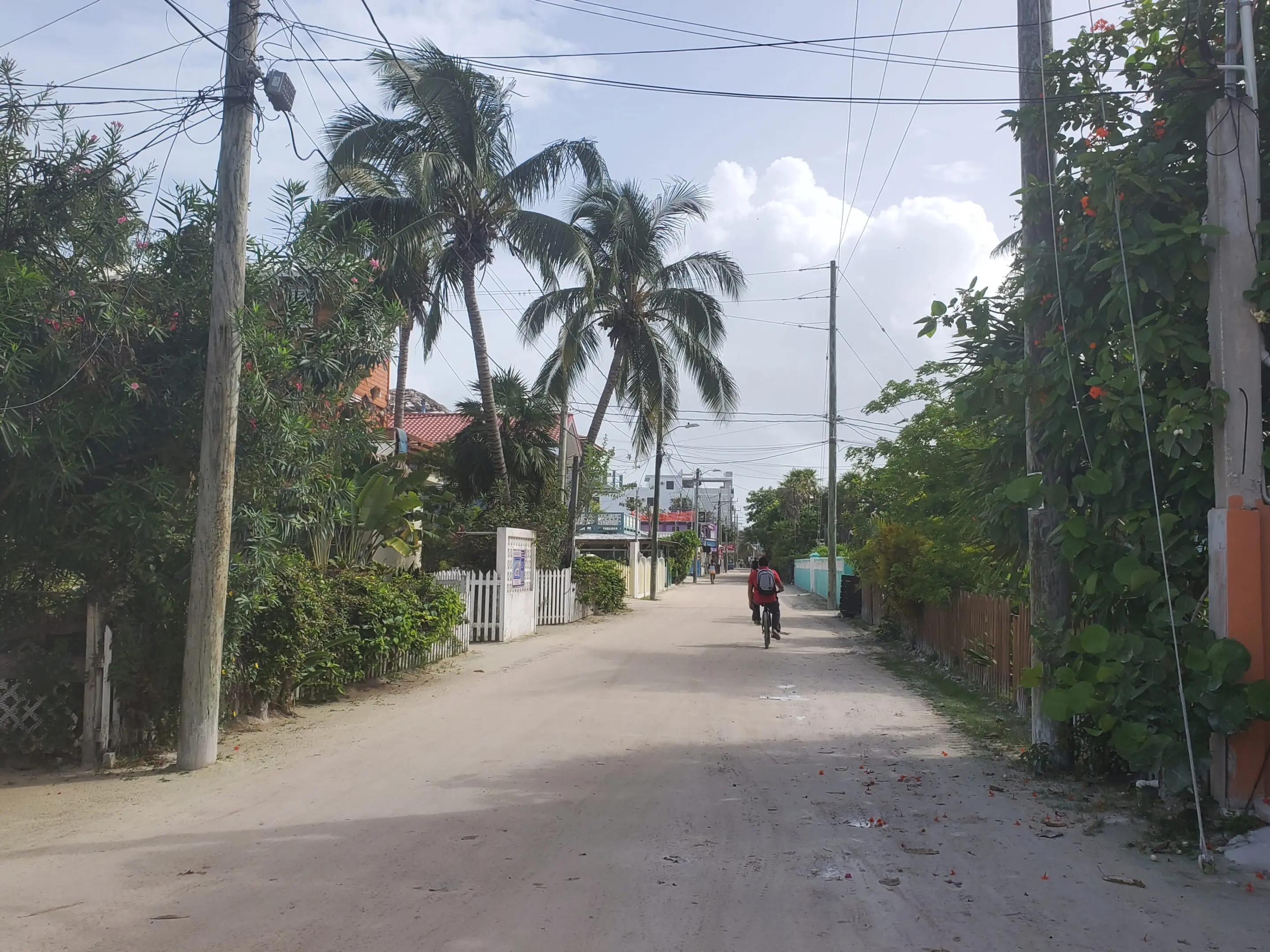 A person riding a bike down the street