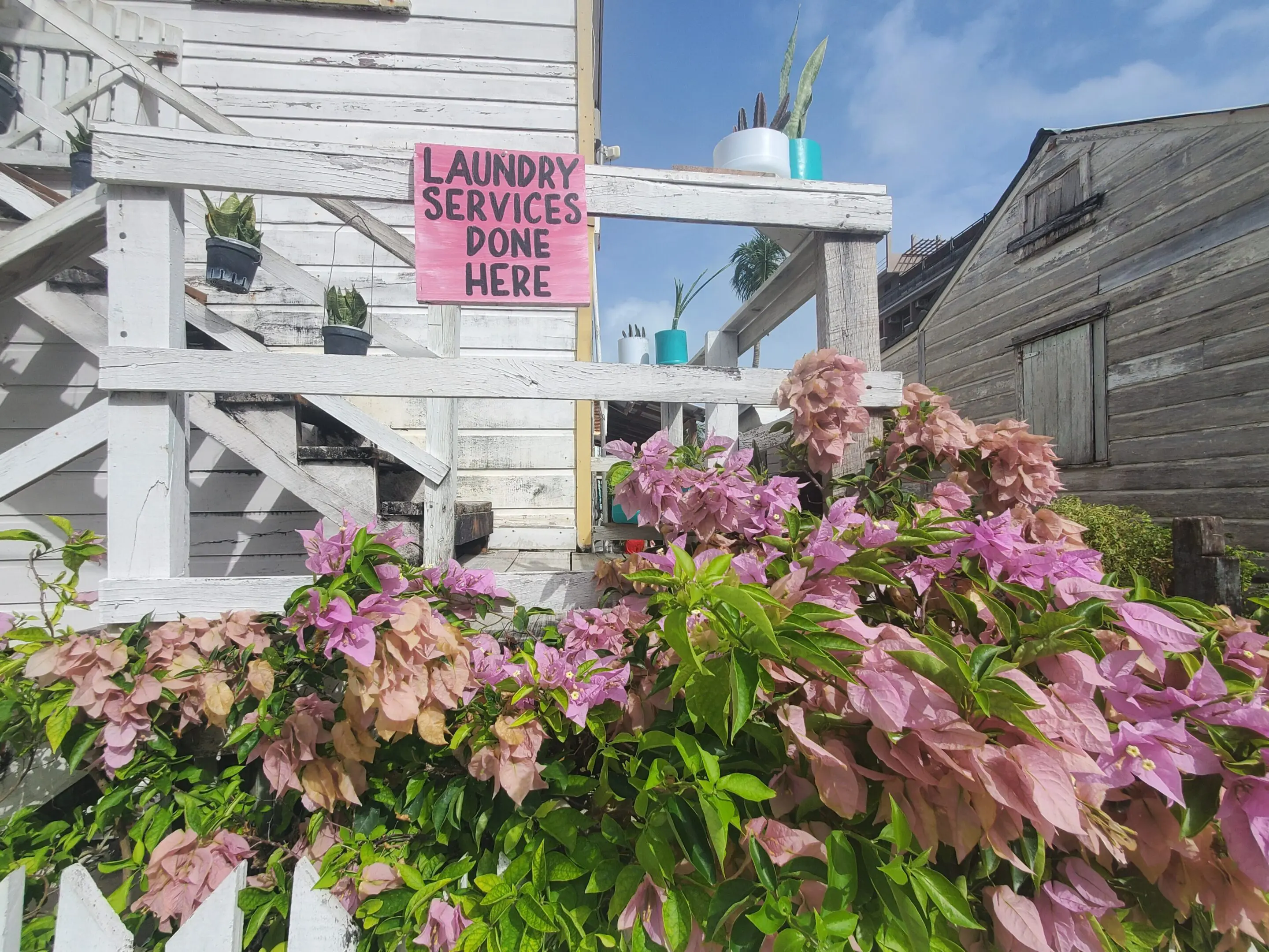 A bunch of flowers that are in front of a building.