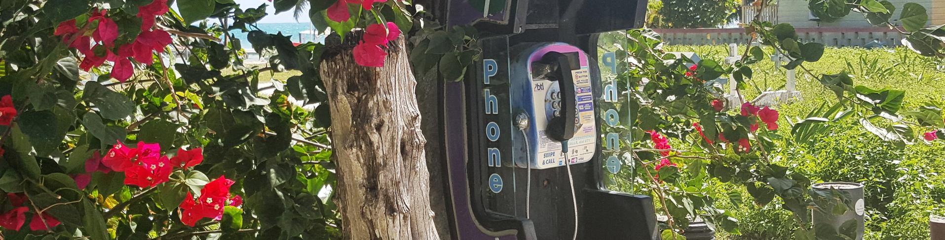 A phone booth with flowers hanging from the side.