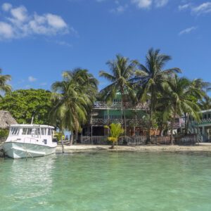 A boat is docked in the water near some palm trees.