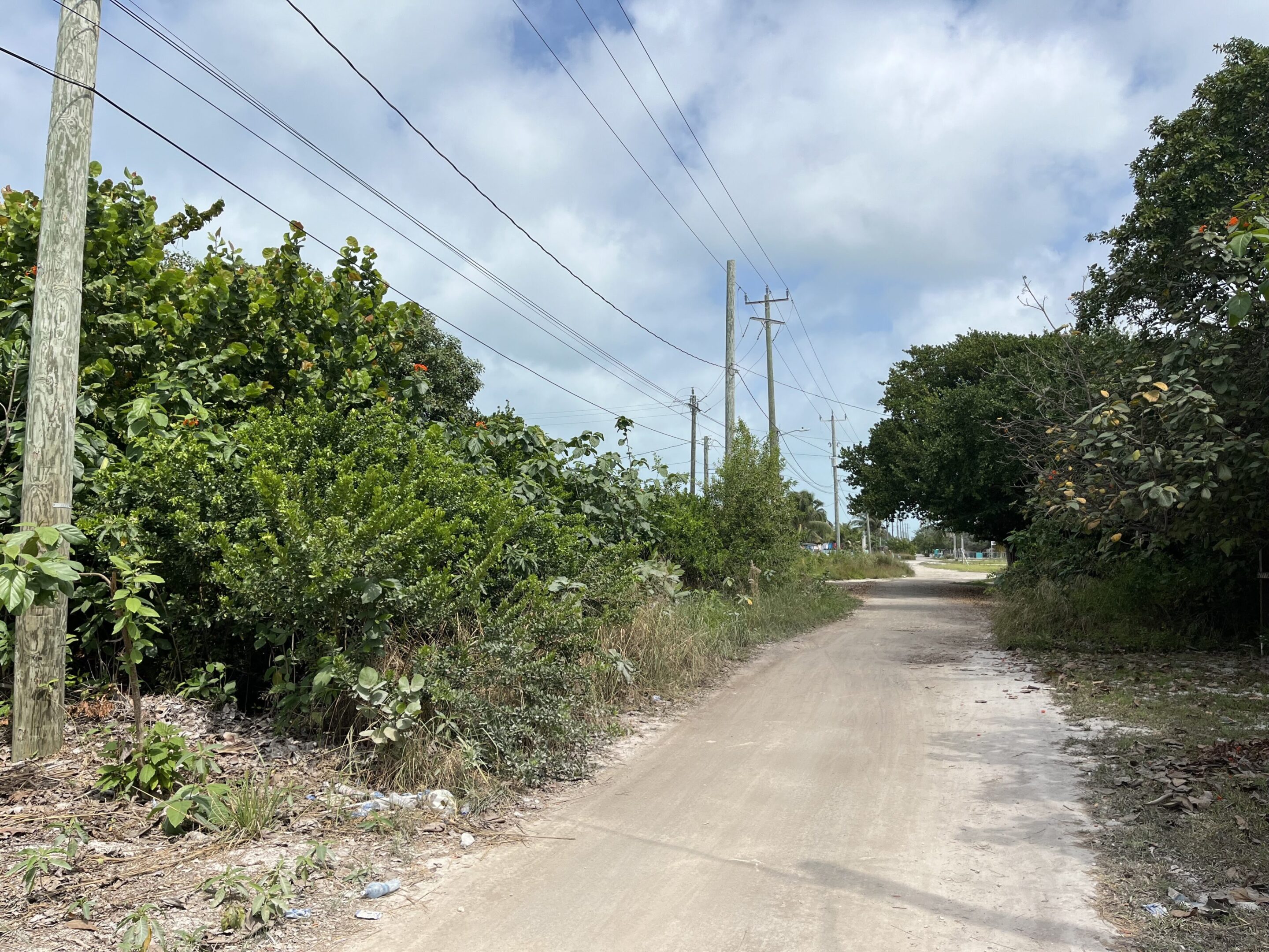 A dirt road with power lines and bushes on the side.