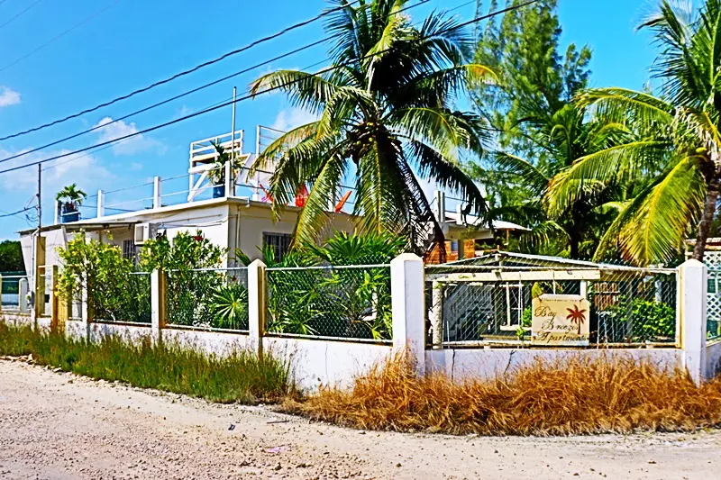 A fence with palm trees in the background.