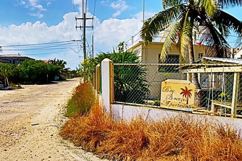 A fence that has some grass growing on it