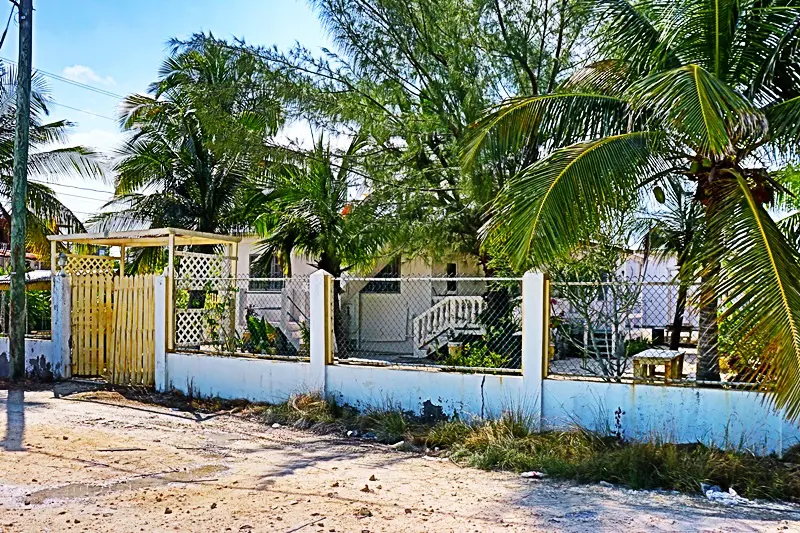 A fence with palm trees and bushes around it.