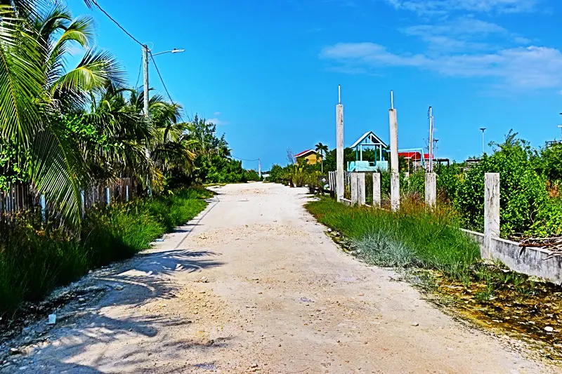 A dirt road with palm trees and houses in the background.