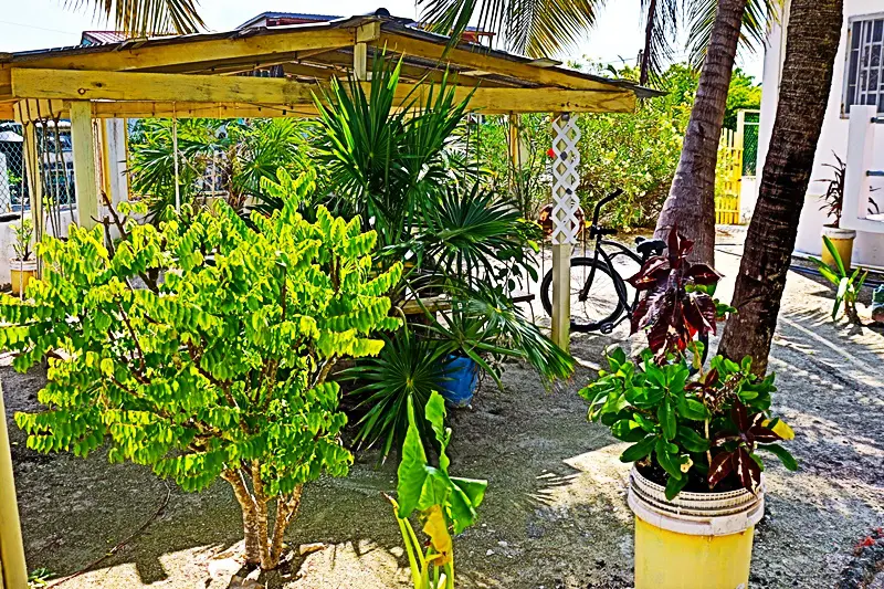 A yellow umbrella and some plants in the dirt