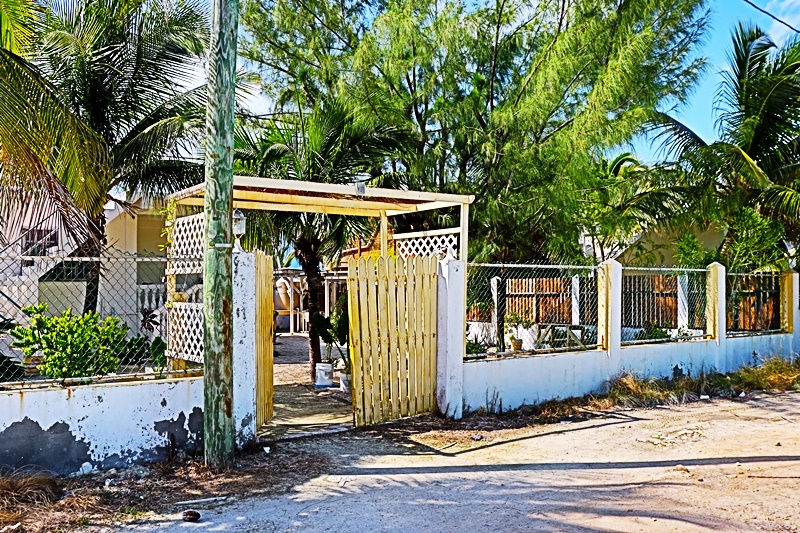 A white fence with a yellow gate and wooden trellis.