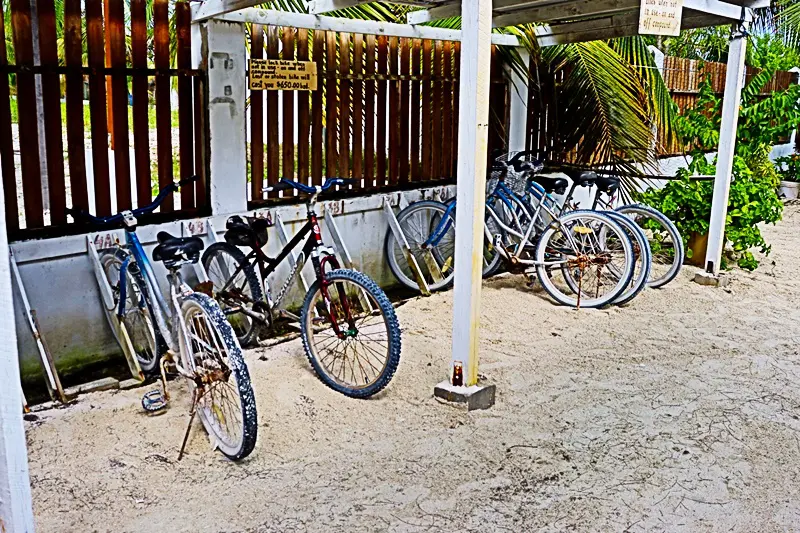 A group of bicycles parked in front of a building.