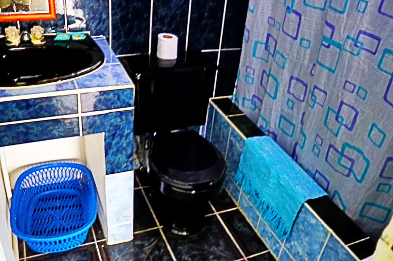 A bathroom with blue tile and black toilet.