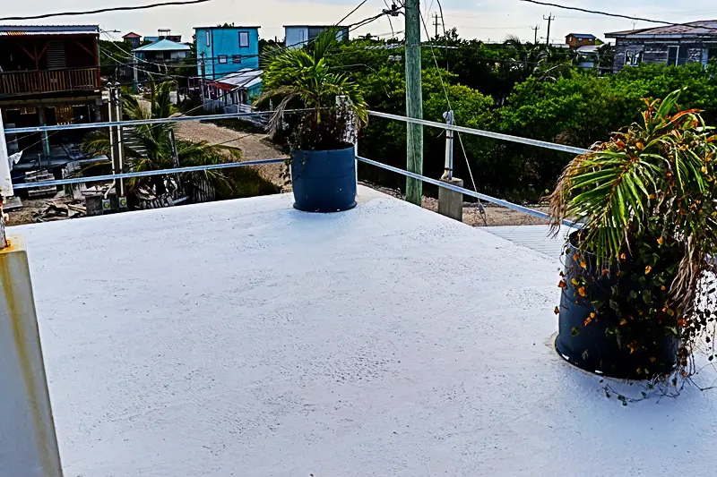 A view of some trees and buildings from the roof.