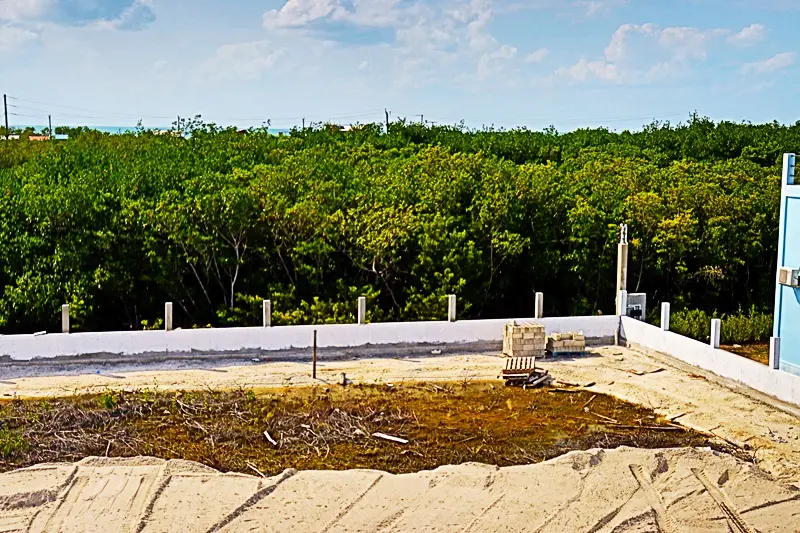 A dirt field with trees in the background.