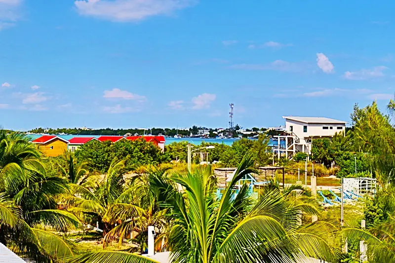 A view of the ocean from above with palm trees.