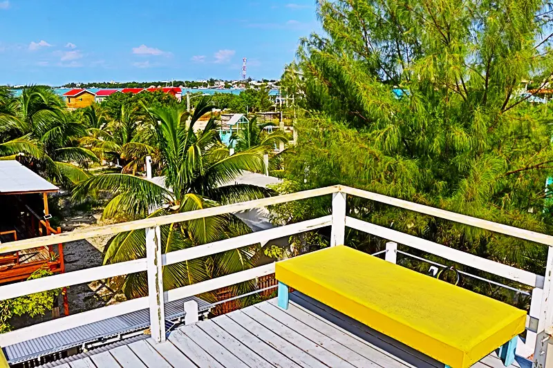 A bench on the deck of a house overlooking palm trees.