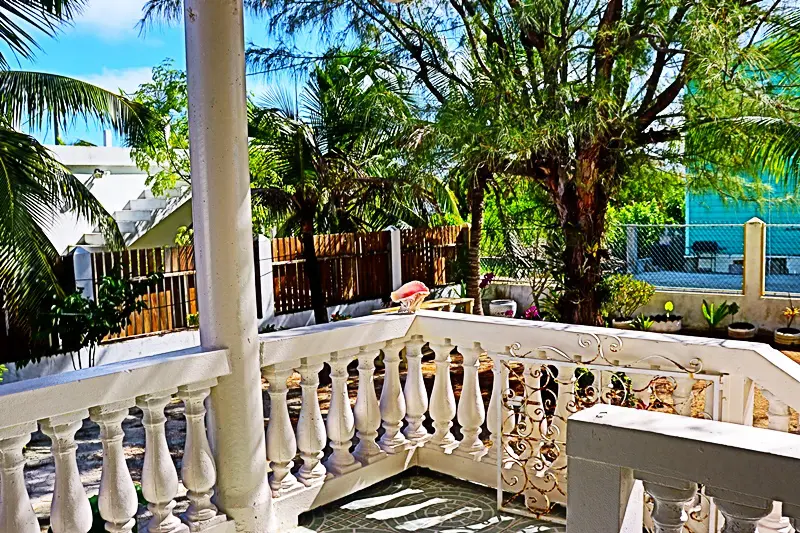 A balcony with white pillars and palm trees.