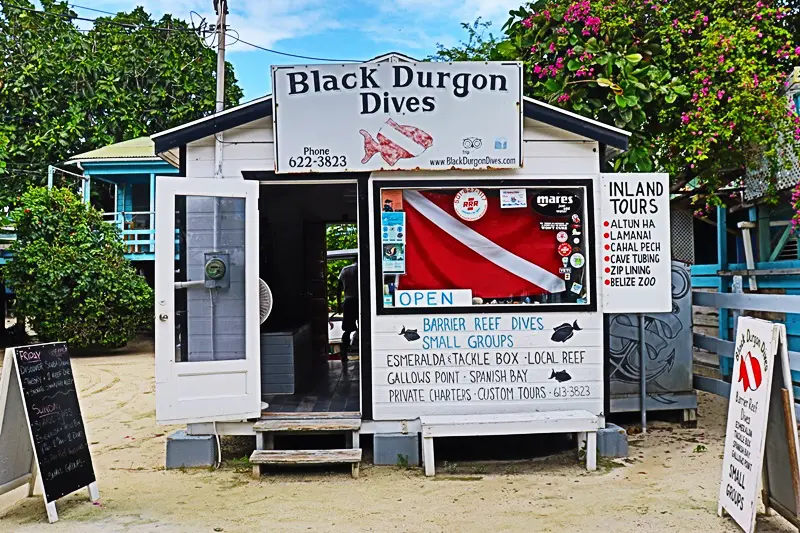 A white building with a sign for black durgon dives.