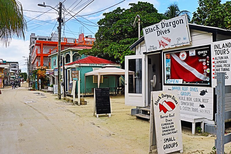 A street with many different types of food.