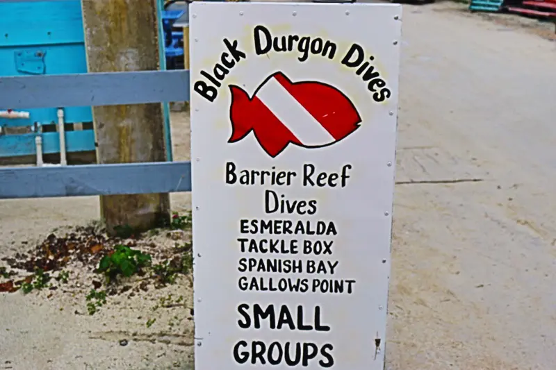 A sign for black durgon dives in the ocean.