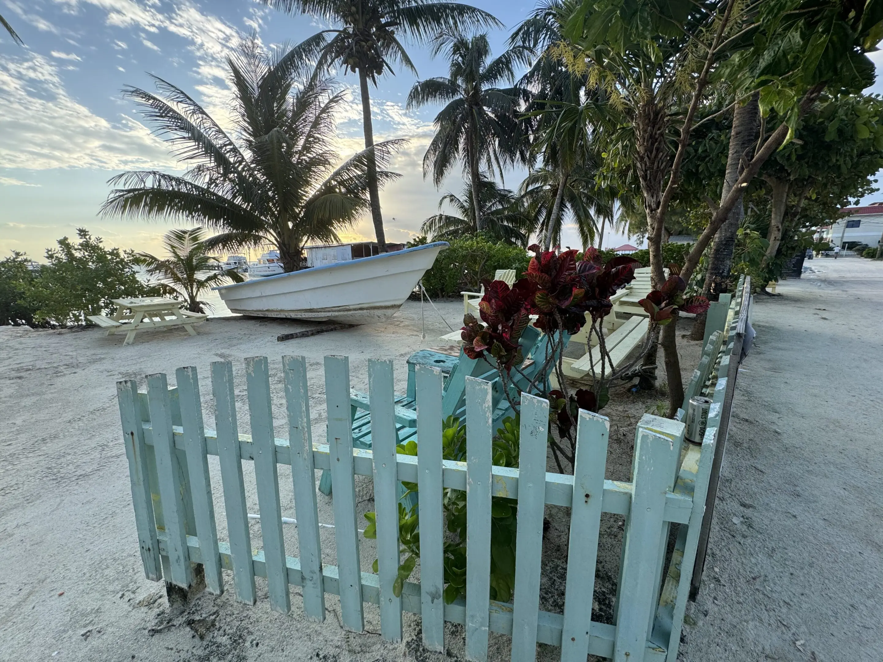 A white fence on the beach with palm trees in the background.