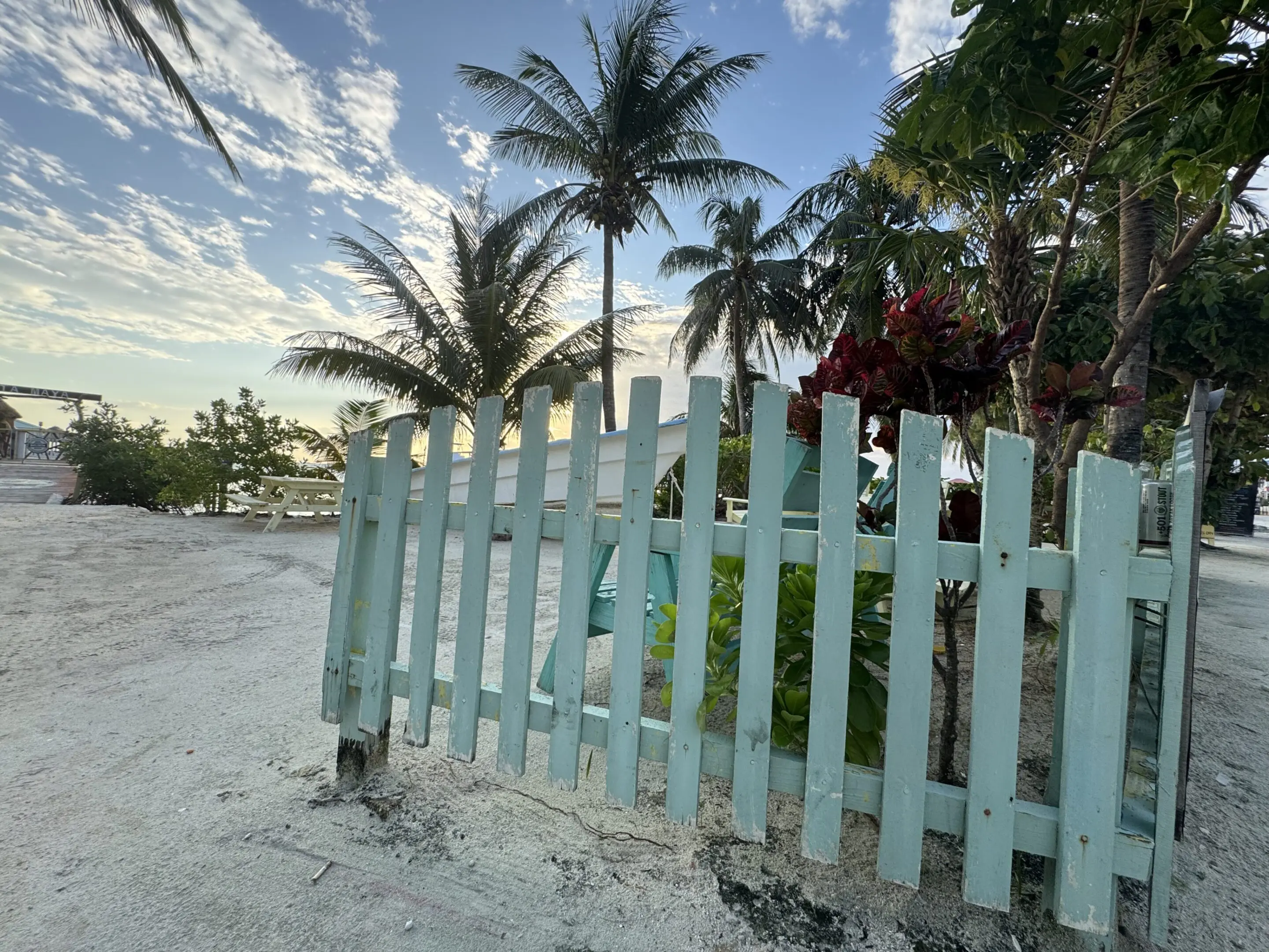 A wooden fence on the beach near palm trees.