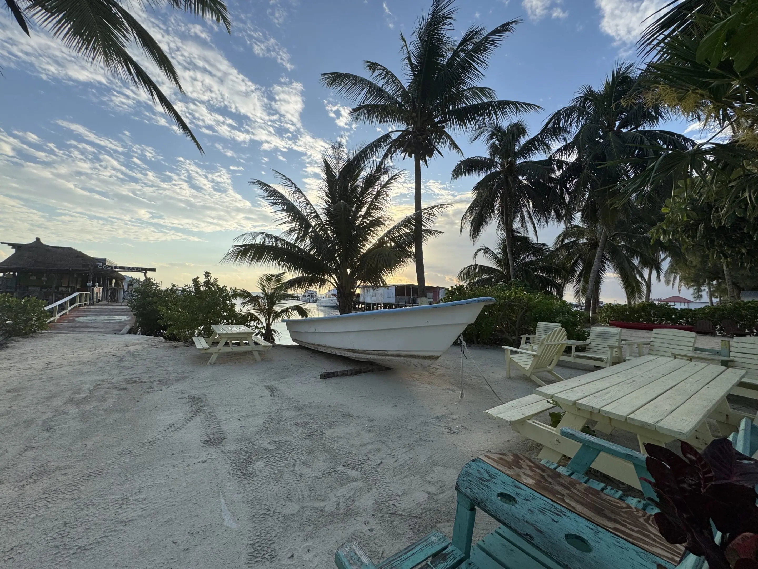 A boat is parked on the beach near some palm trees.