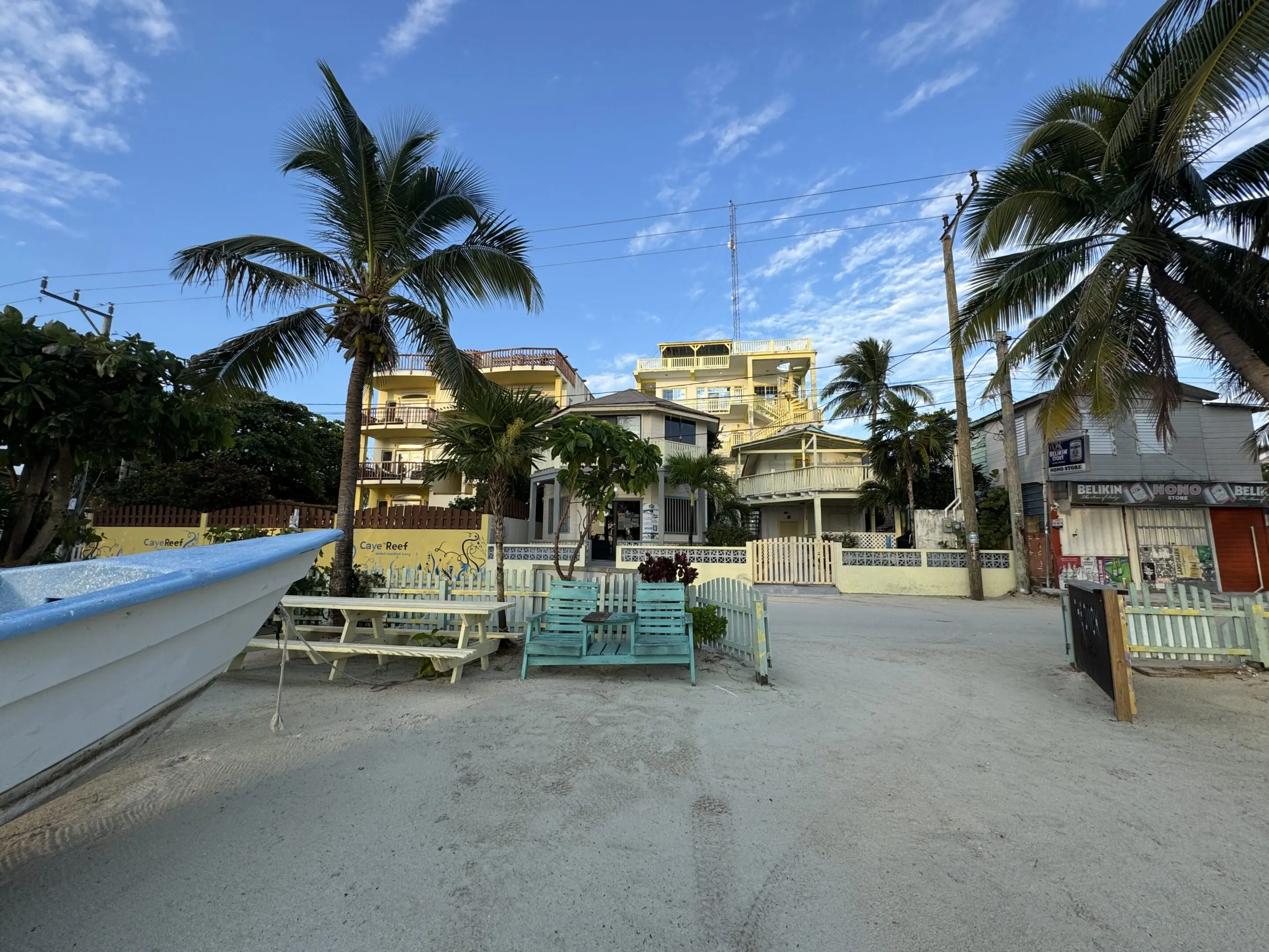 A beach with palm trees and benches on the sand.