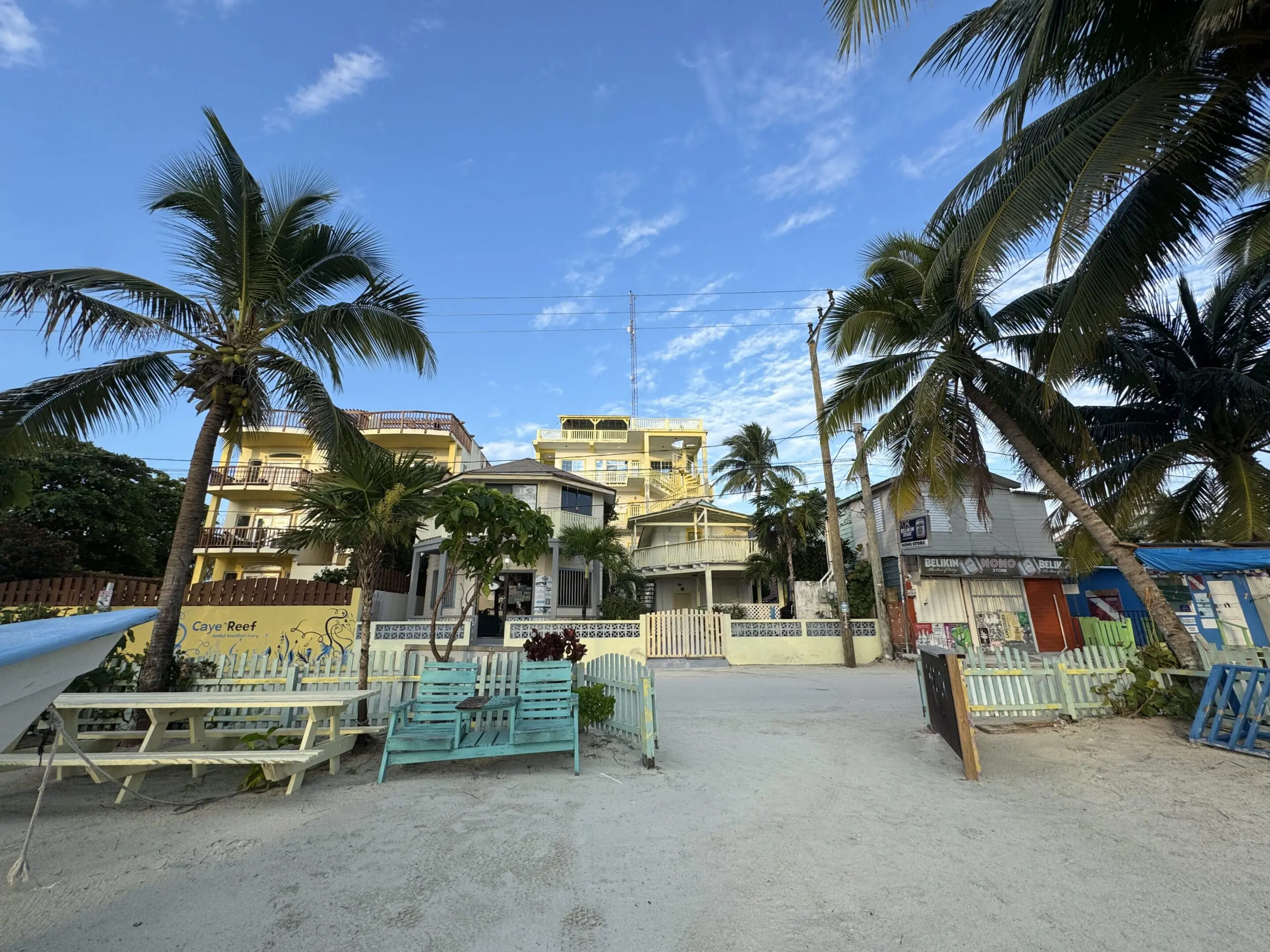 A beach with palm trees and benches on the sand.