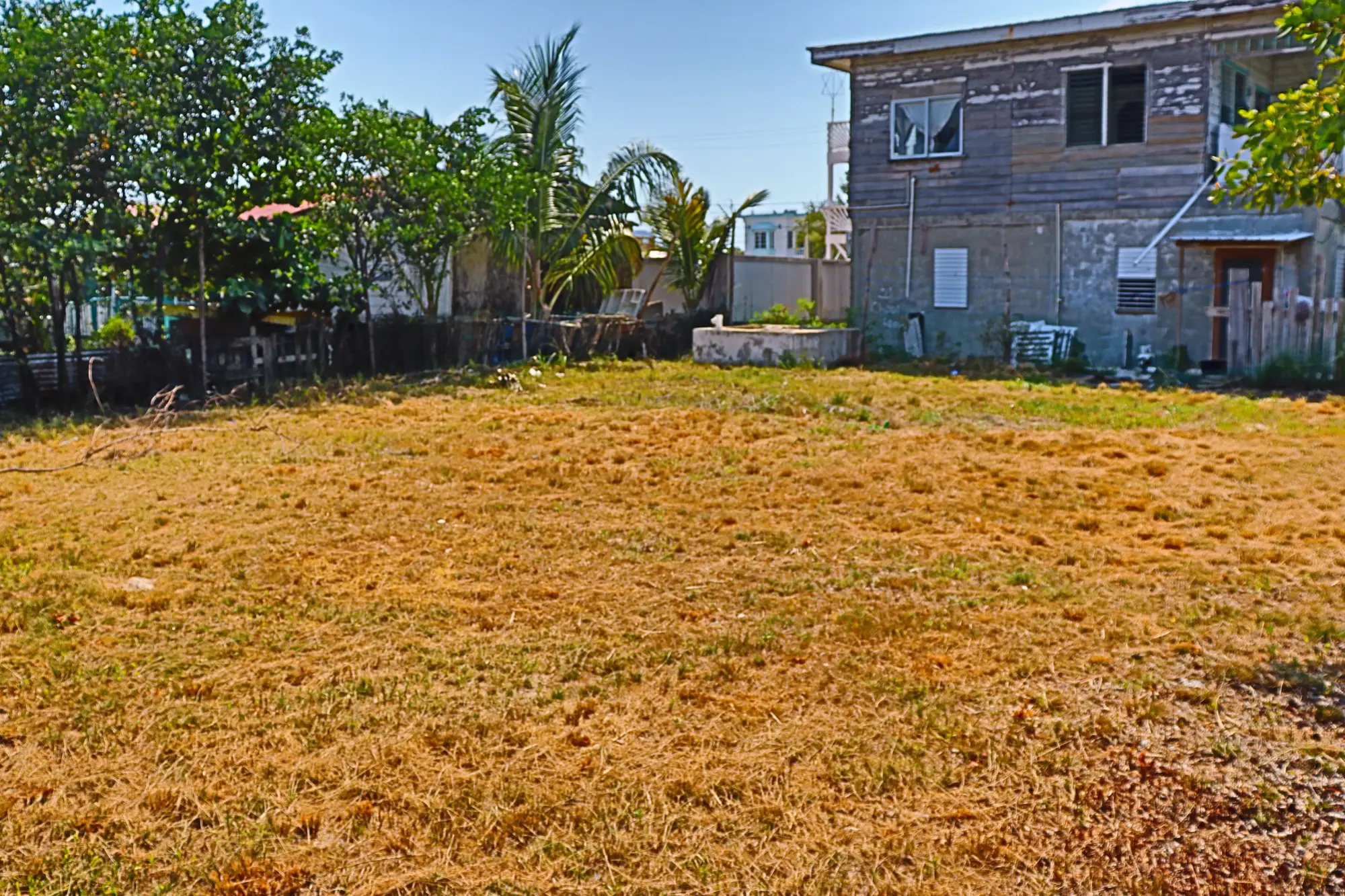 A yard with brown grass and trees in the background.