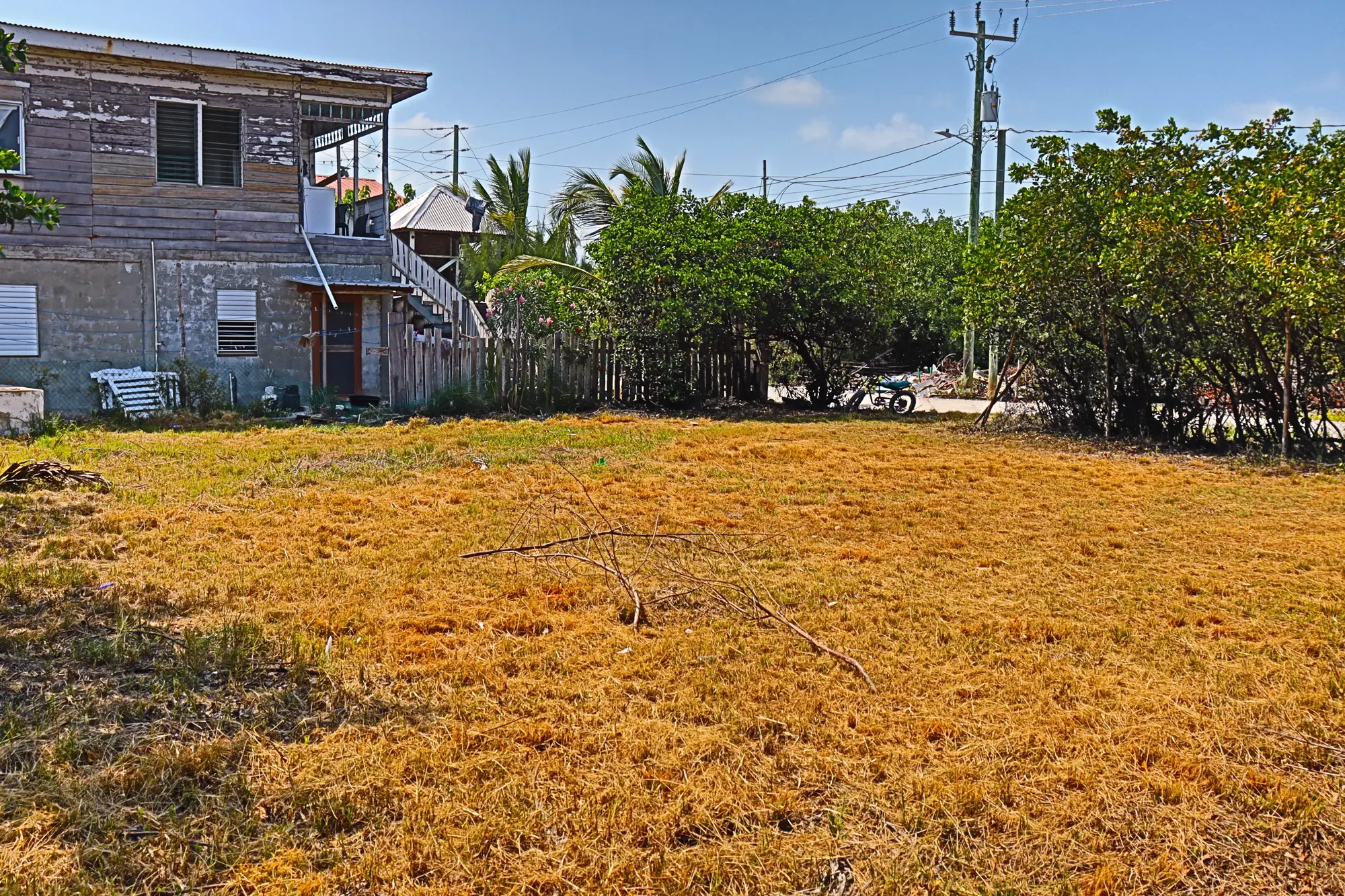 A field with brown grass and trees in the background.