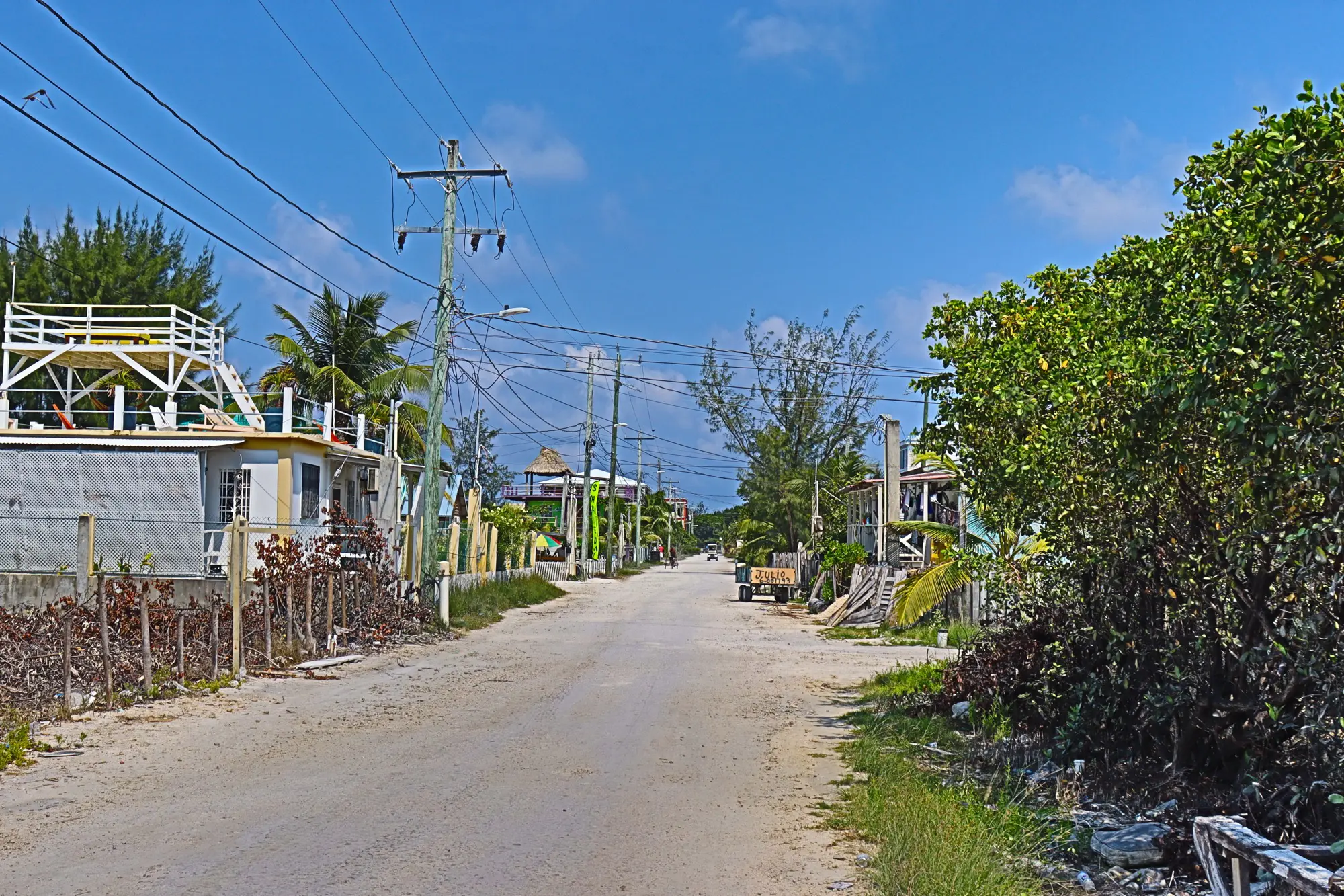 A street with many houses and trees on the side.