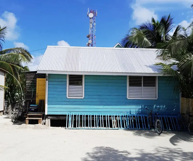 A blue house with palm trees in the background.