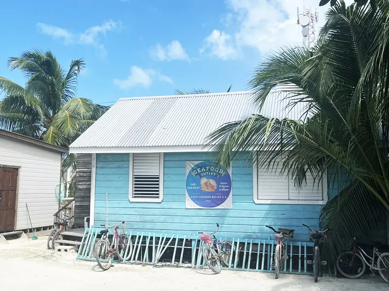 A blue house with palm trees and bicycles parked on the side.