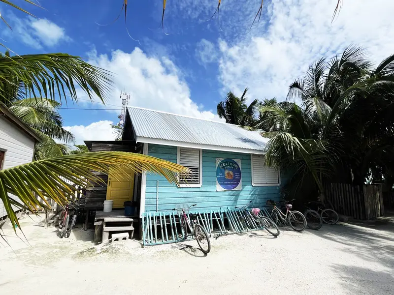 A blue house with palm trees and bicycles parked in front of it.