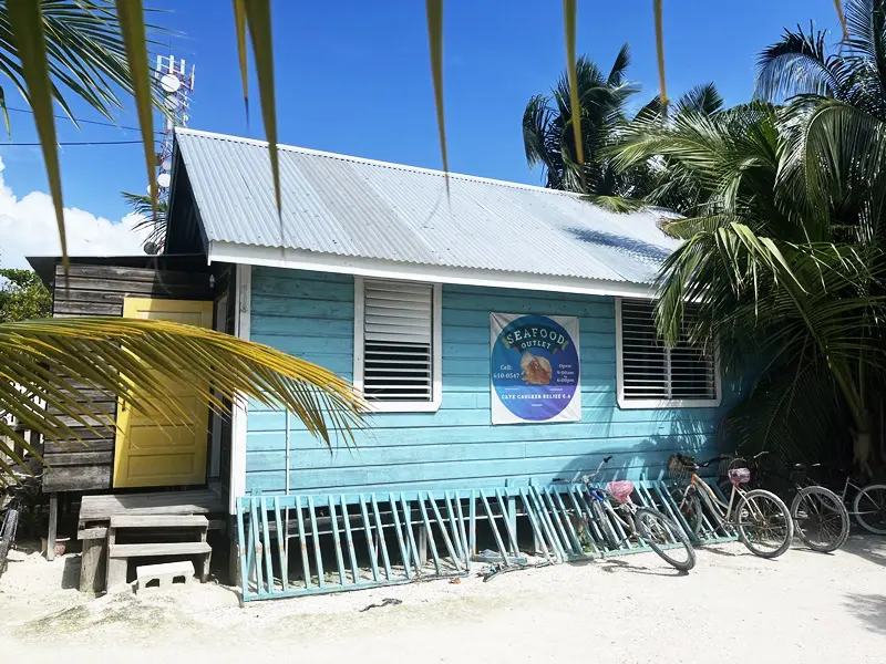 A blue house with palm trees and bicycles parked in front of it.