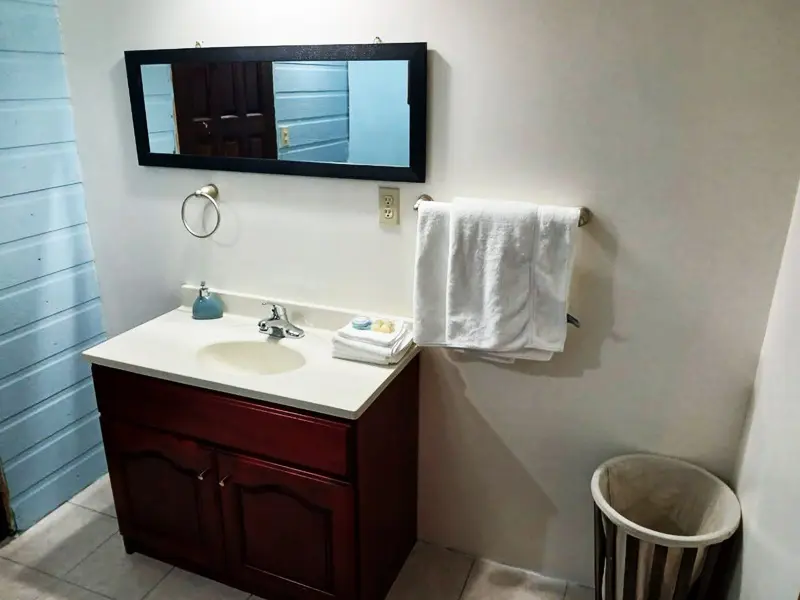 A bathroom with a sink, mirror and trash can.