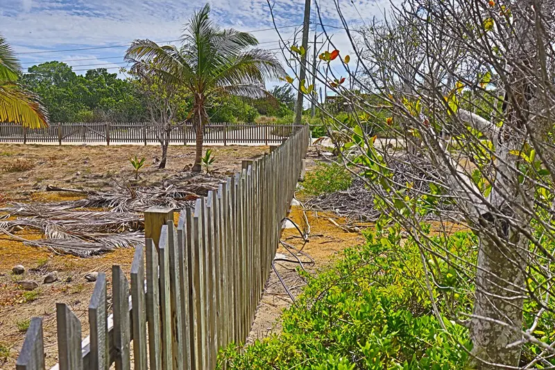 A fence that is in the dirt near some trees.