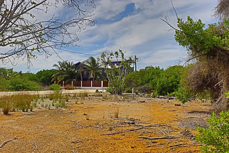 A house in the distance with trees and bushes around it.