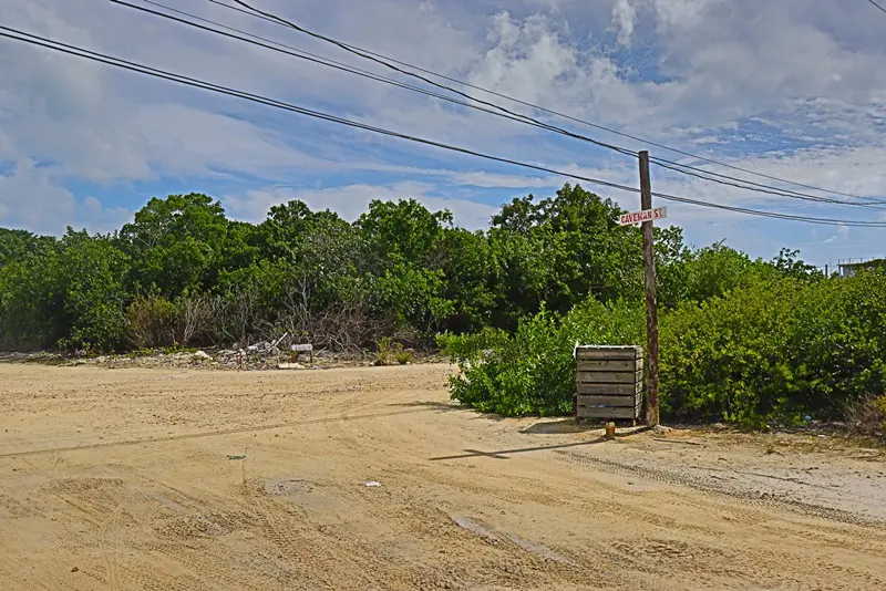 A dirt road with power lines and trees in the background.