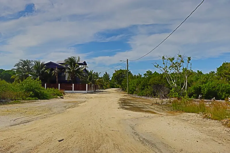 A dirt road with houses in the background.