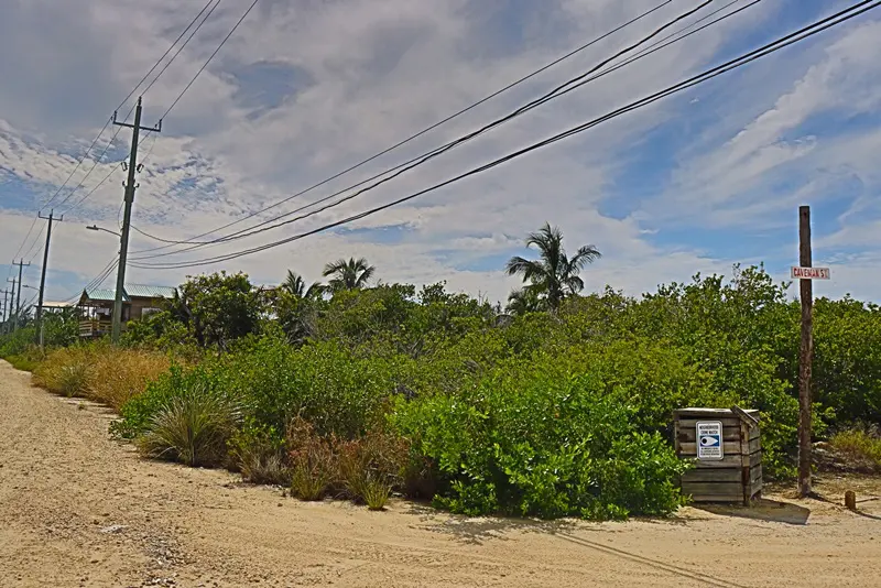 A dirt road with power lines and bushes on the side.