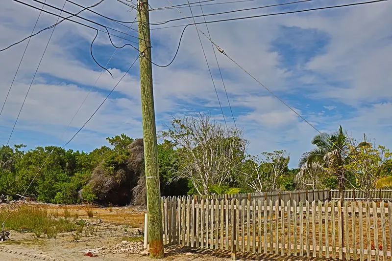 A telephone pole and fence in the middle of nowhere.