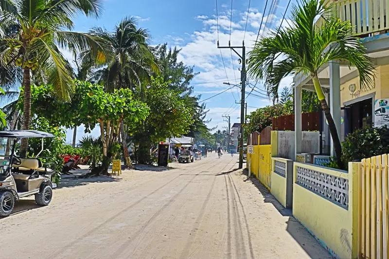 A street with palm trees and a fence on the side.