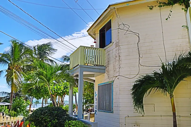 A white building with palm trees and blue sky