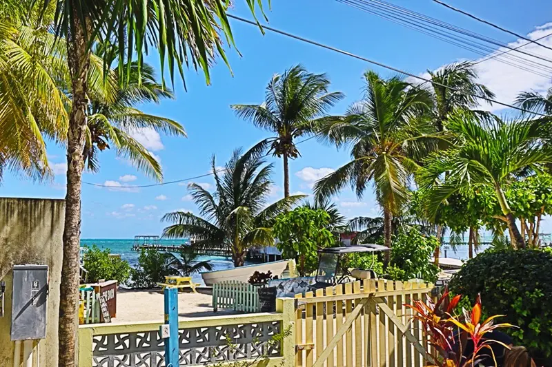 A beach with palm trees and blue skies