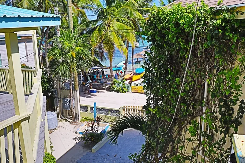 A view of the beach from above.