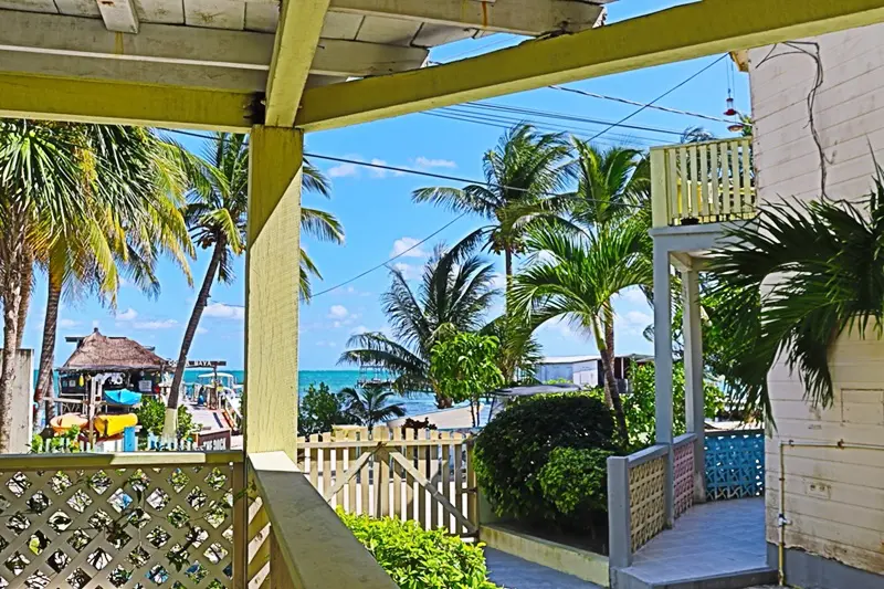 A porch with palm trees and ocean in the background.