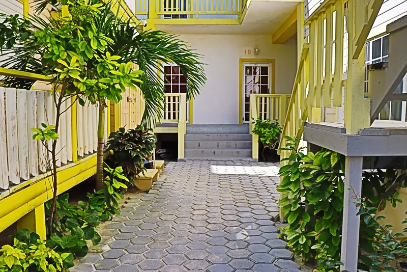 A walkway with steps leading to the entrance of a house.